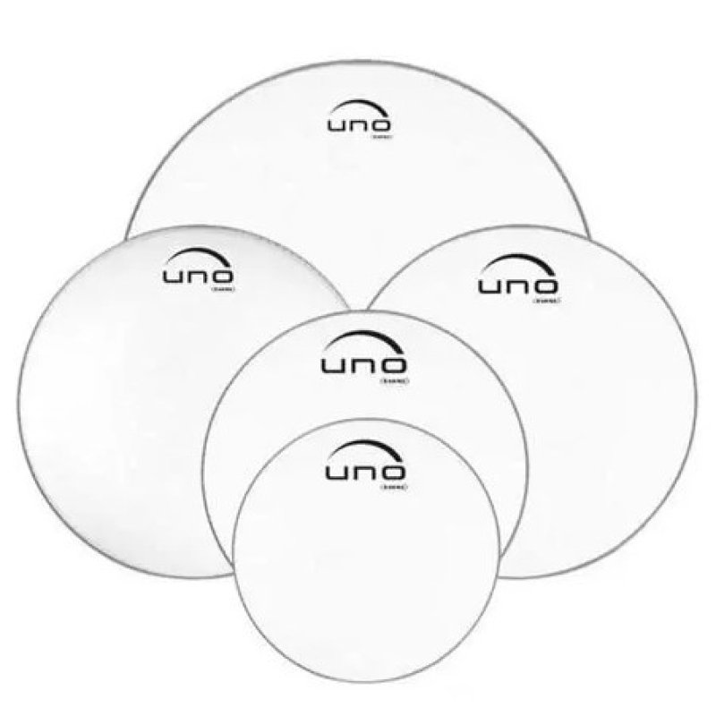 Evans uno upg2cls22 g2 clear skin upg2cls22