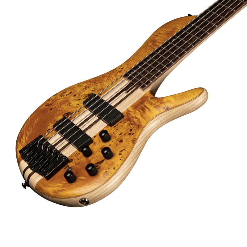 Cort A5 Plus Single Cut 5 String Poplar Burl Open Pore With Case