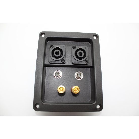 Cyberdyne CZK1195 speaker box back plate