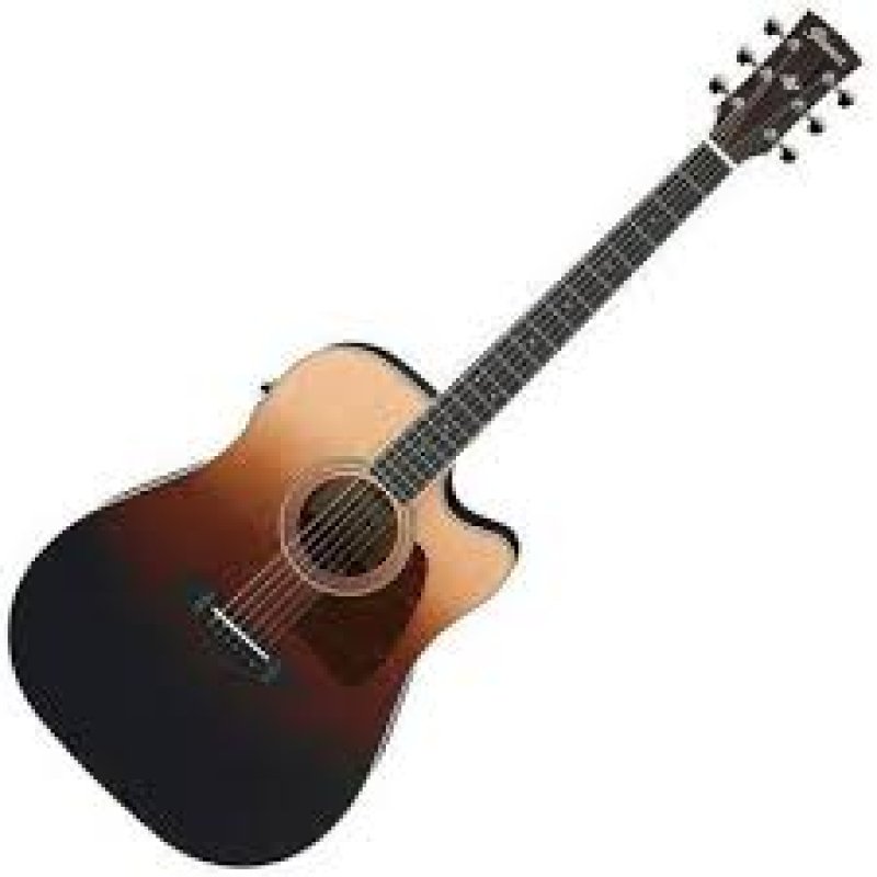 Ibanez AW80CE
