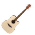 Ibanez PF10CE Acoustic Guitar w/ Pickup Open Pore Natural