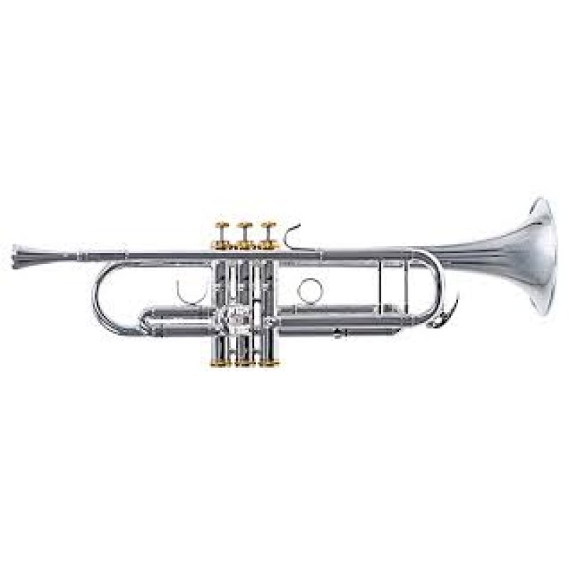 Mason trumpet case bb nk+case al310n