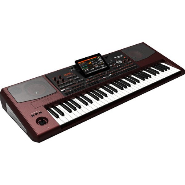Korg pa1000 professional arranger