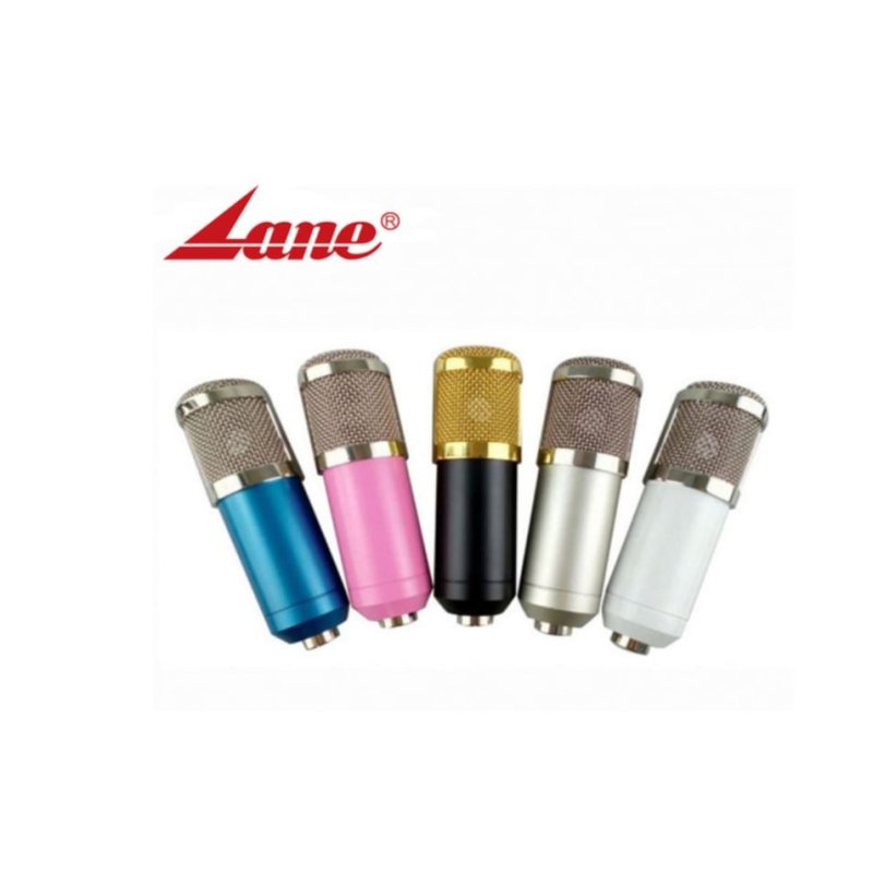 LANE BM800 STUDIO CONDENSER MICROPHONE