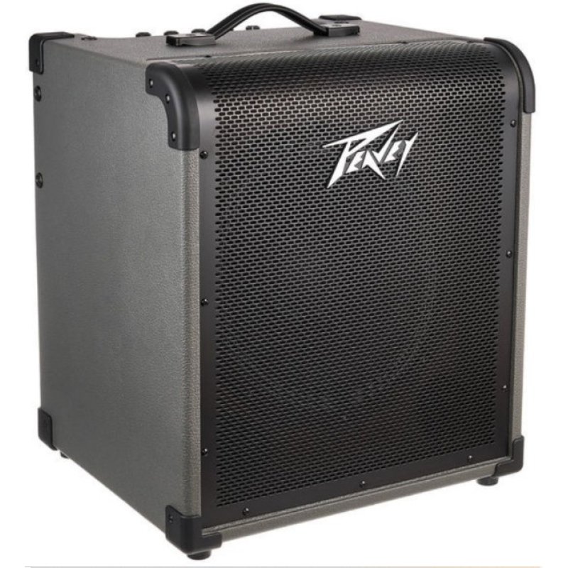 Peavey max 150 bass combo amp