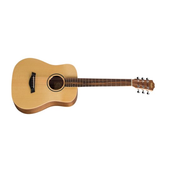 Taylor BT1e